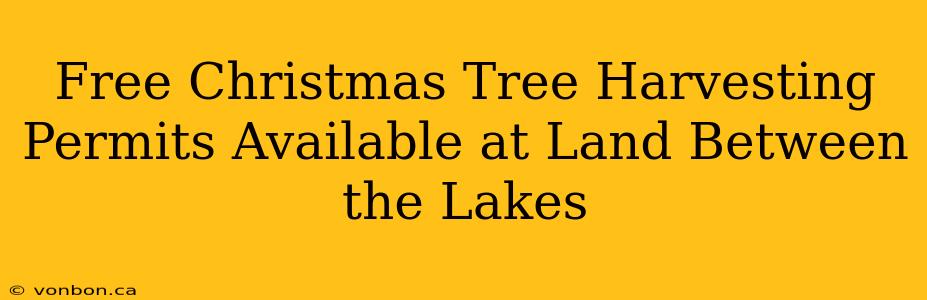 Free Christmas Tree Harvesting Permits Available at Land Between the Lakes