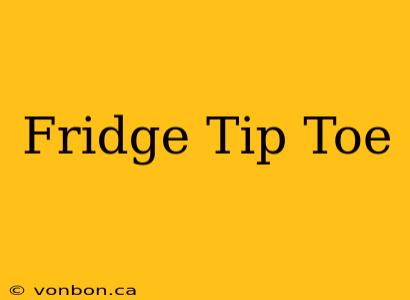 Fridge Tip Toe