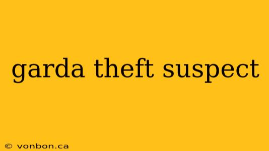 garda theft suspect