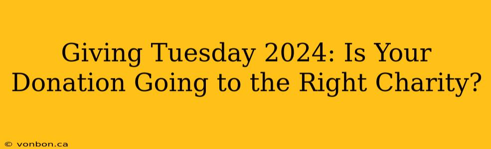 Giving Tuesday 2024: Is Your Donation Going to the Right Charity?