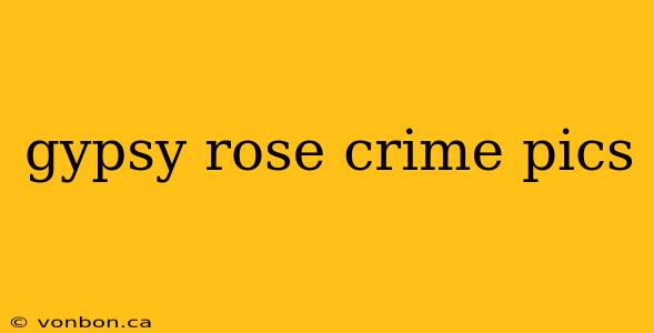 gypsy rose crime pics