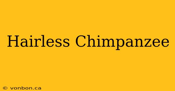 Hairless Chimpanzee