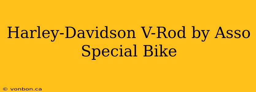 Harley-Davidson V-Rod by Asso Special Bike