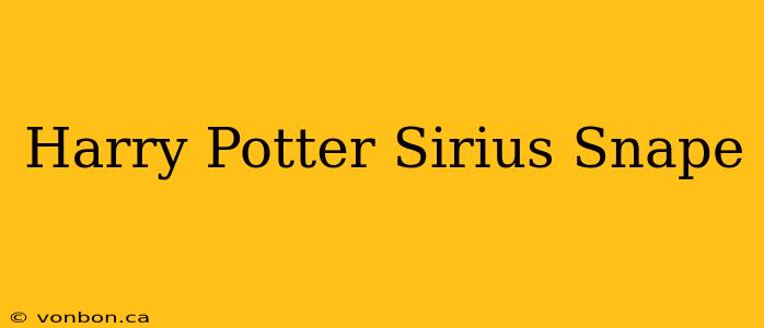 Harry Potter Sirius Snape