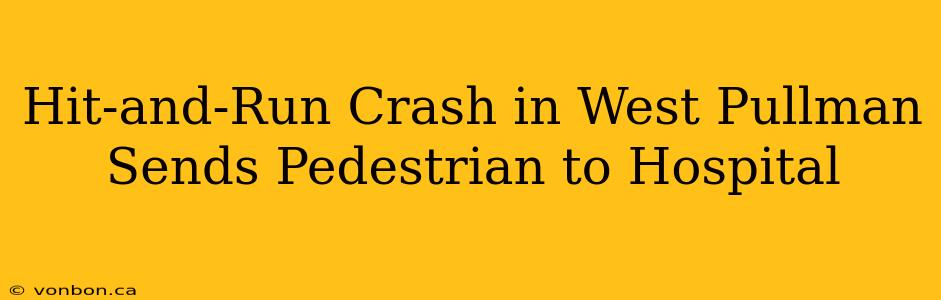 Hit-and-Run Crash in West Pullman Sends Pedestrian to Hospital