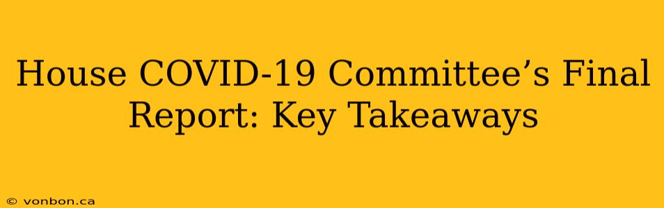 House COVID-19 Committee’s Final Report: Key Takeaways