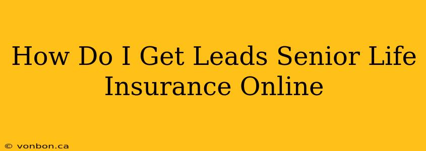 How Do I Get Leads Senior Life Insurance Online