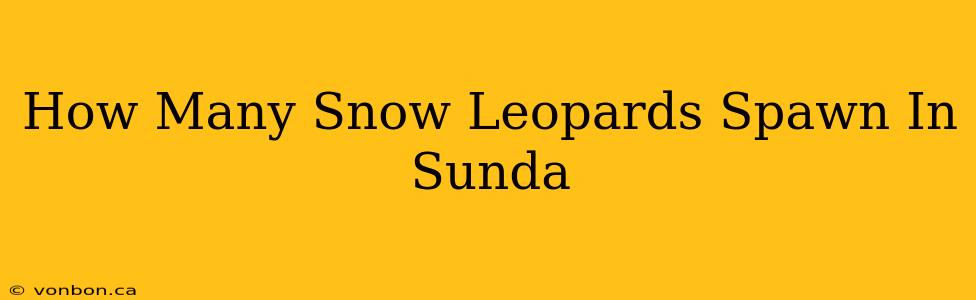 How Many Snow Leopards Spawn In Sunda