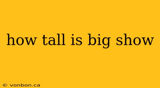 how tall is big show