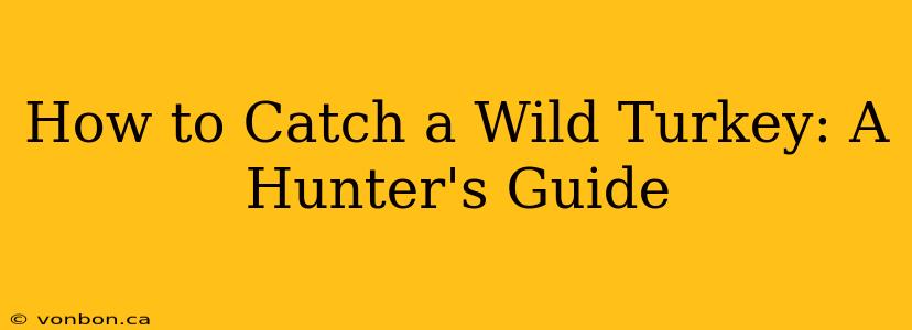 How to Catch a Wild Turkey: A Hunter's Guide