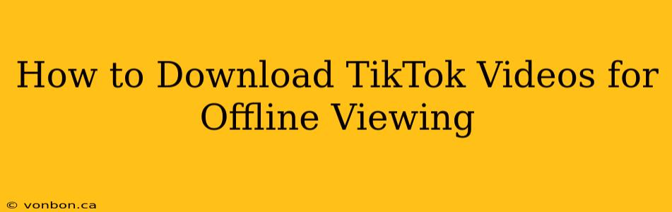 How to Download TikTok Videos for Offline Viewing