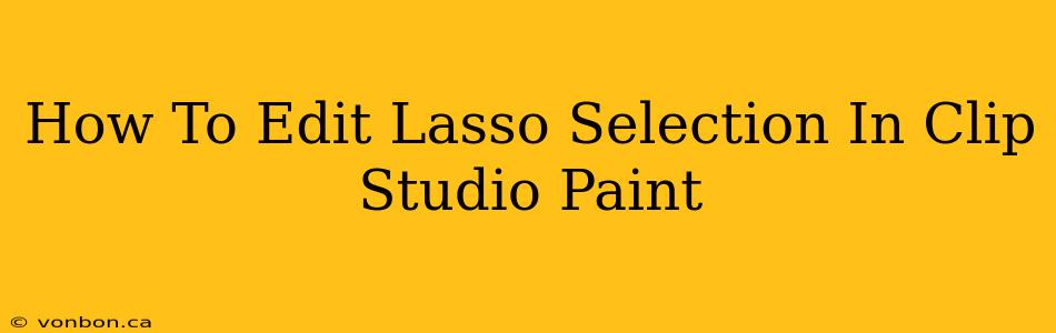 How To Edit Lasso Selection In Clip Studio Paint