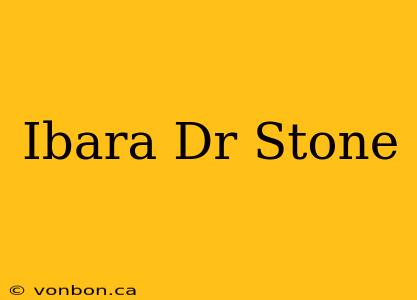 Ibara Dr Stone