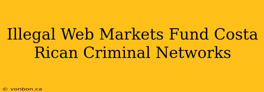 Illegal Web Markets Fund Costa Rican Criminal Networks