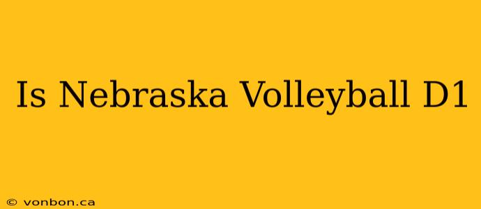 Is Nebraska Volleyball D1