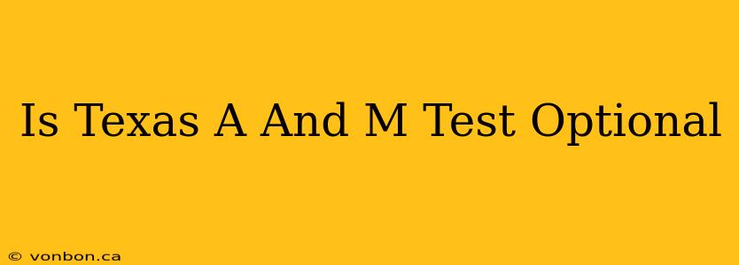 Is Texas A And M Test Optional