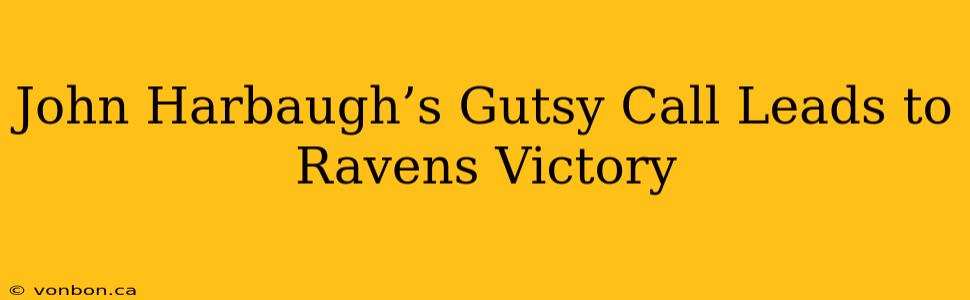 John Harbaugh’s Gutsy Call Leads to Ravens Victory