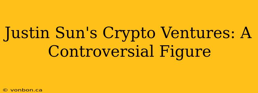 Justin Sun's Crypto Ventures: A Controversial Figure