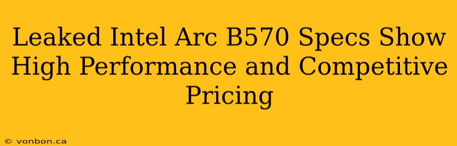 Leaked Intel Arc B570 Specs Show High Performance and Competitive Pricing