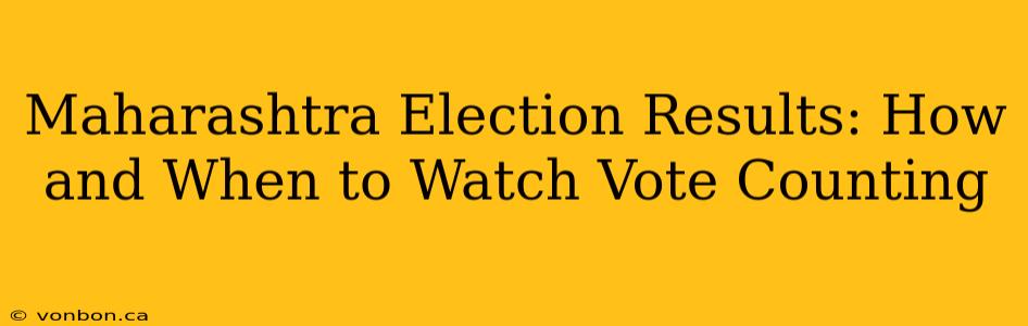 Maharashtra Election Results: How and When to Watch Vote Counting