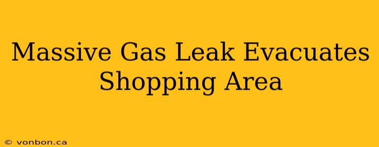 Massive Gas Leak Evacuates Shopping Area