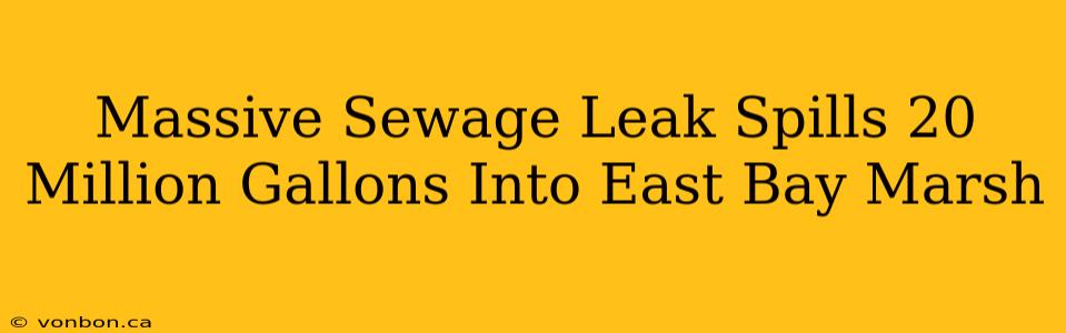 Massive Sewage Leak Spills 20 Million Gallons Into East Bay Marsh