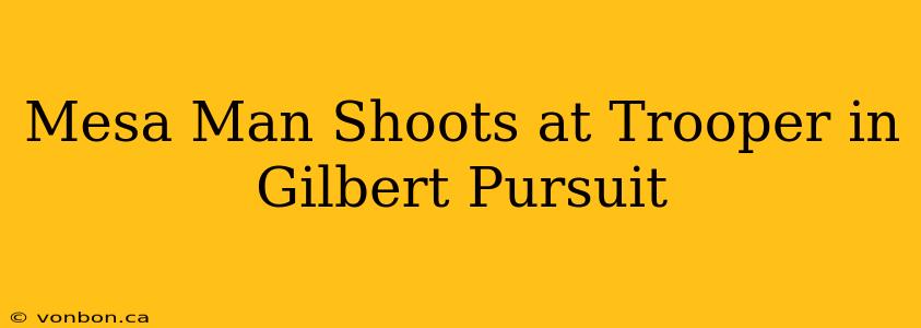 Mesa Man Shoots at Trooper in Gilbert Pursuit