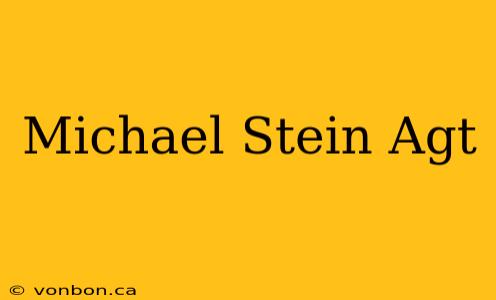 Michael Stein Agt