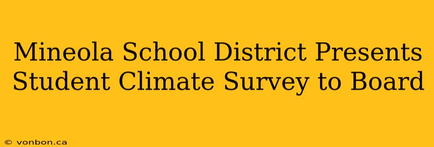 Mineola School District Presents Student Climate Survey to Board