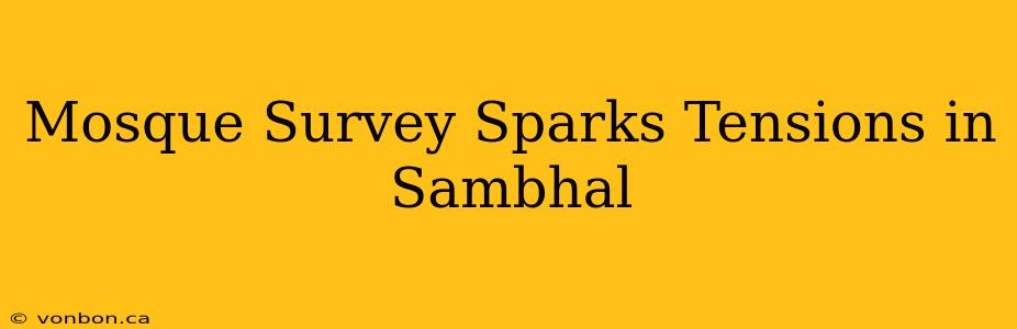 Mosque Survey Sparks Tensions in Sambhal