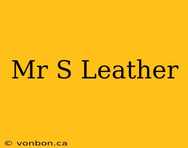 Mr S Leather