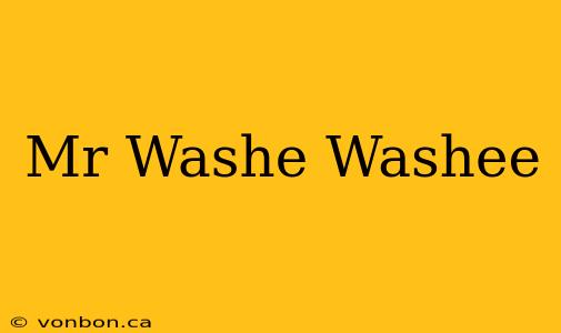 Mr Washe Washee