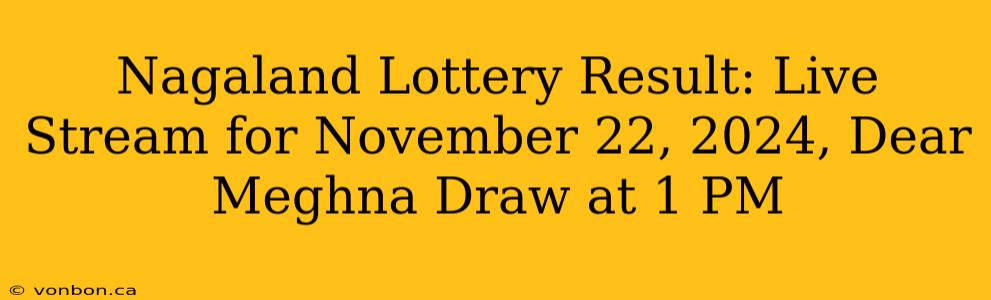 Nagaland Lottery Result: Live Stream for November 22, 2024, Dear Meghna Draw at 1 PM