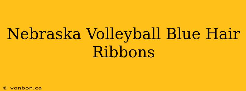 Nebraska Volleyball Blue Hair Ribbons