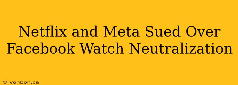 Netflix and Meta Sued Over Facebook Watch Neutralization