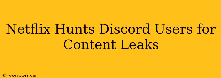 Netflix Hunts Discord Users for Content Leaks