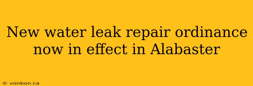 New water leak repair ordinance now in effect in Alabaster