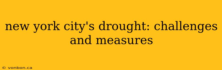 new york city's drought: challenges and measures