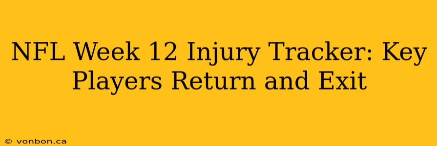 NFL Week 12 Injury Tracker: Key Players Return and Exit