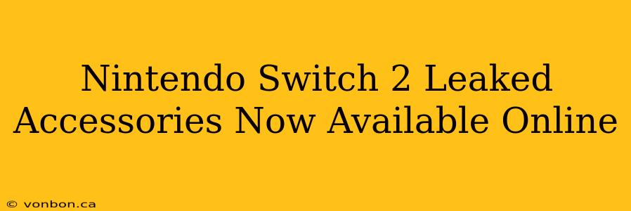 Nintendo Switch 2 Leaked Accessories Now Available Online