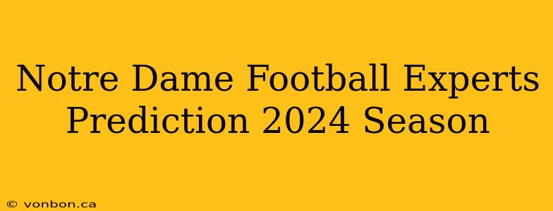 Notre Dame Football Experts Prediction 2024 Season