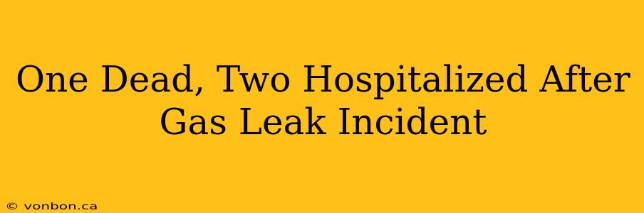 One Dead, Two Hospitalized After Gas Leak Incident