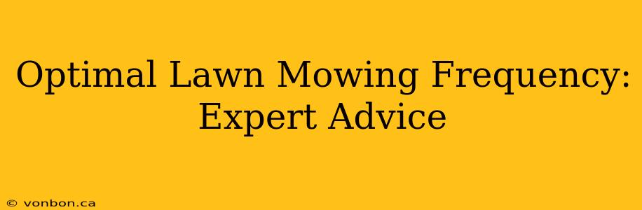 Optimal Lawn Mowing Frequency: Expert Advice