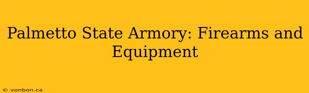 Palmetto State Armory: Firearms and Equipment