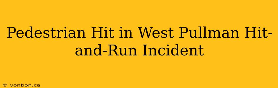 Pedestrian Hit in West Pullman Hit-and-Run Incident