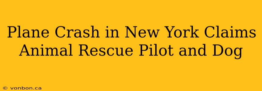 Plane Crash in New York Claims Animal Rescue Pilot and Dog