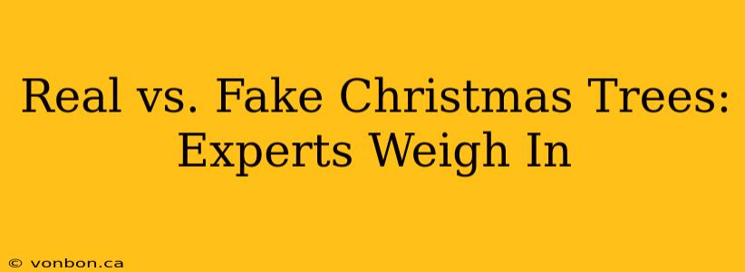 Real vs. Fake Christmas Trees: Experts Weigh In