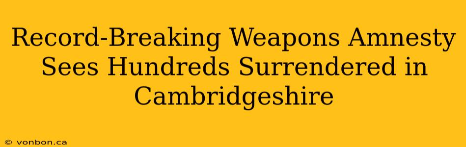 Record-Breaking Weapons Amnesty Sees Hundreds Surrendered in Cambridgeshire