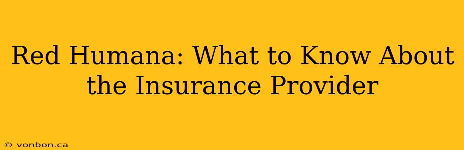 Red Humana: What to Know About the Insurance Provider