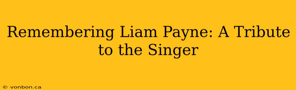 Remembering Liam Payne: A Tribute to the Singer